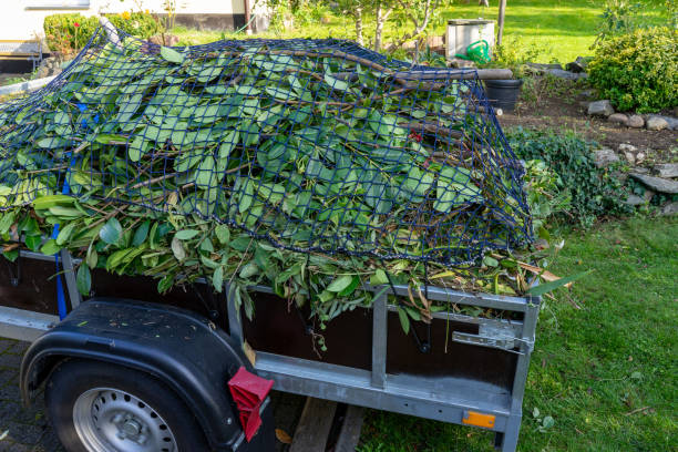 Best Residential Junk Removal  in Malone, FL